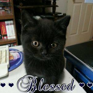 Meet your Posher, Carla